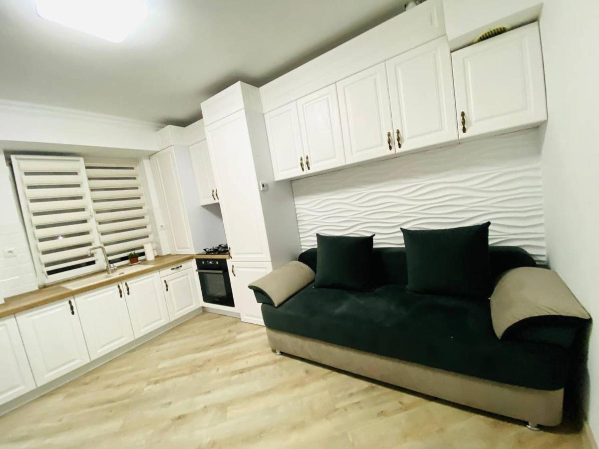 Central Eco View Apartment 키시나우 외부 사진